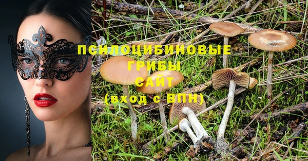 винт Абаза