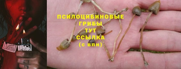 винт Абаза