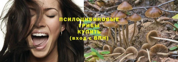 герыч Каменногорск