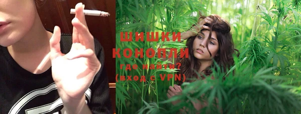 винт Абаза