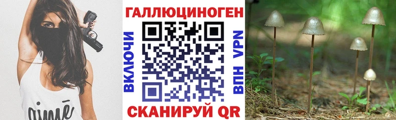 Псилоцибиновые грибы MAGIC MUSHROOMS  нарко площадка наркотические препараты  Усть-Лабинск 