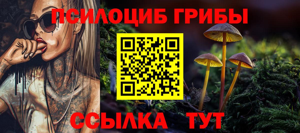 Усть-Лабинск  Галлюциногенные грибы Psilocybine cubensis  Вход с VPN 